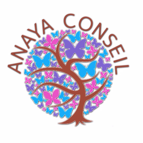 Logo de Anaya Conseil